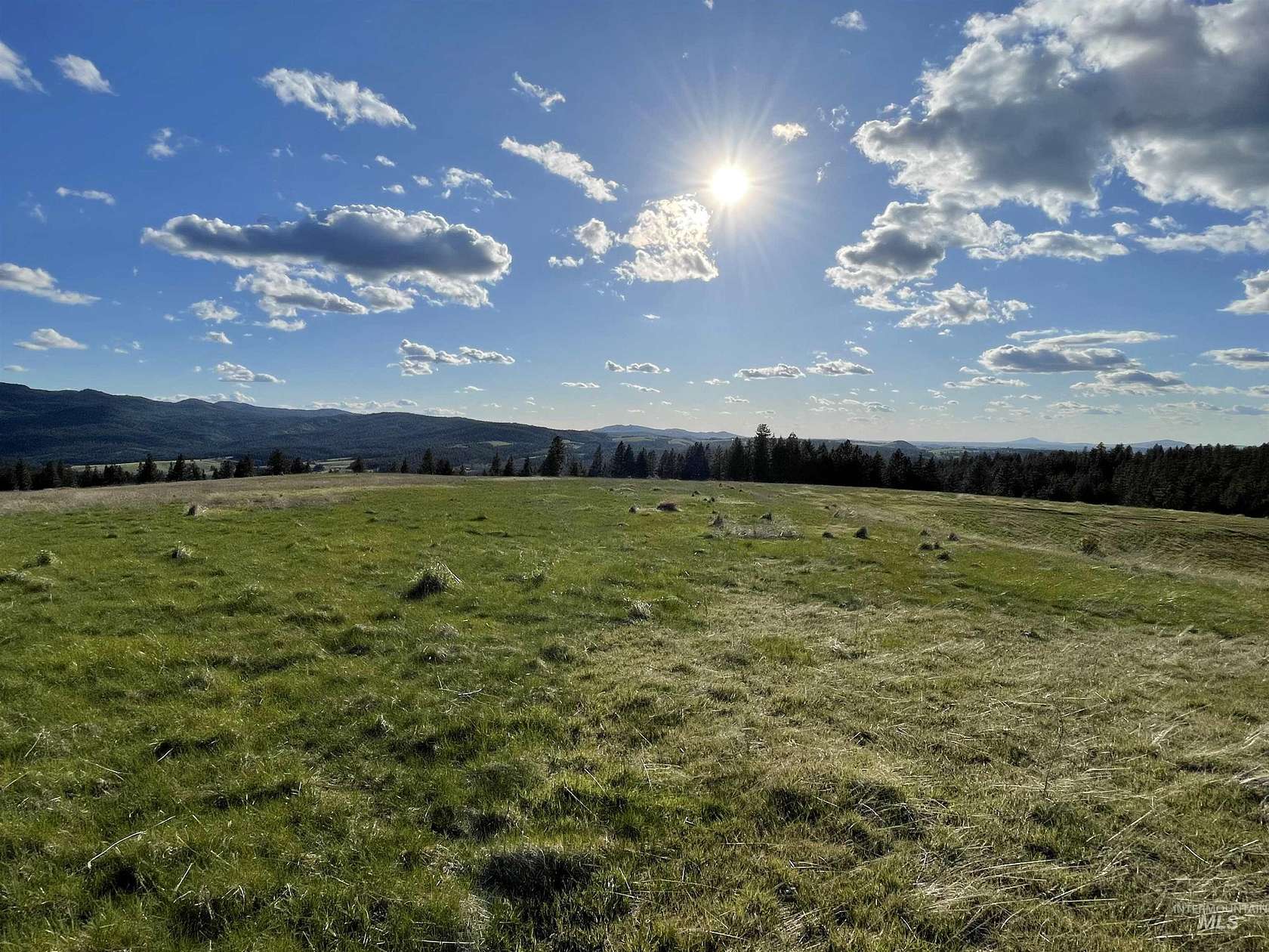 46.66 Acres of Agricultural Land for Sale in Princeton, Idaho