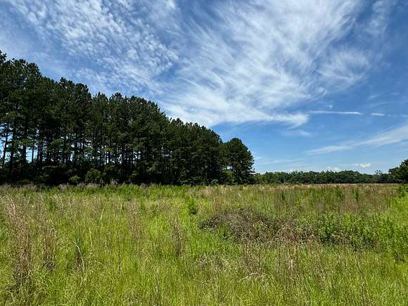 2.19 Acres of Residential Land for Sale in Fairfax, South Carolina