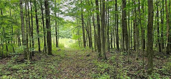 77.92 Acres of Land for Sale in Candor, New York