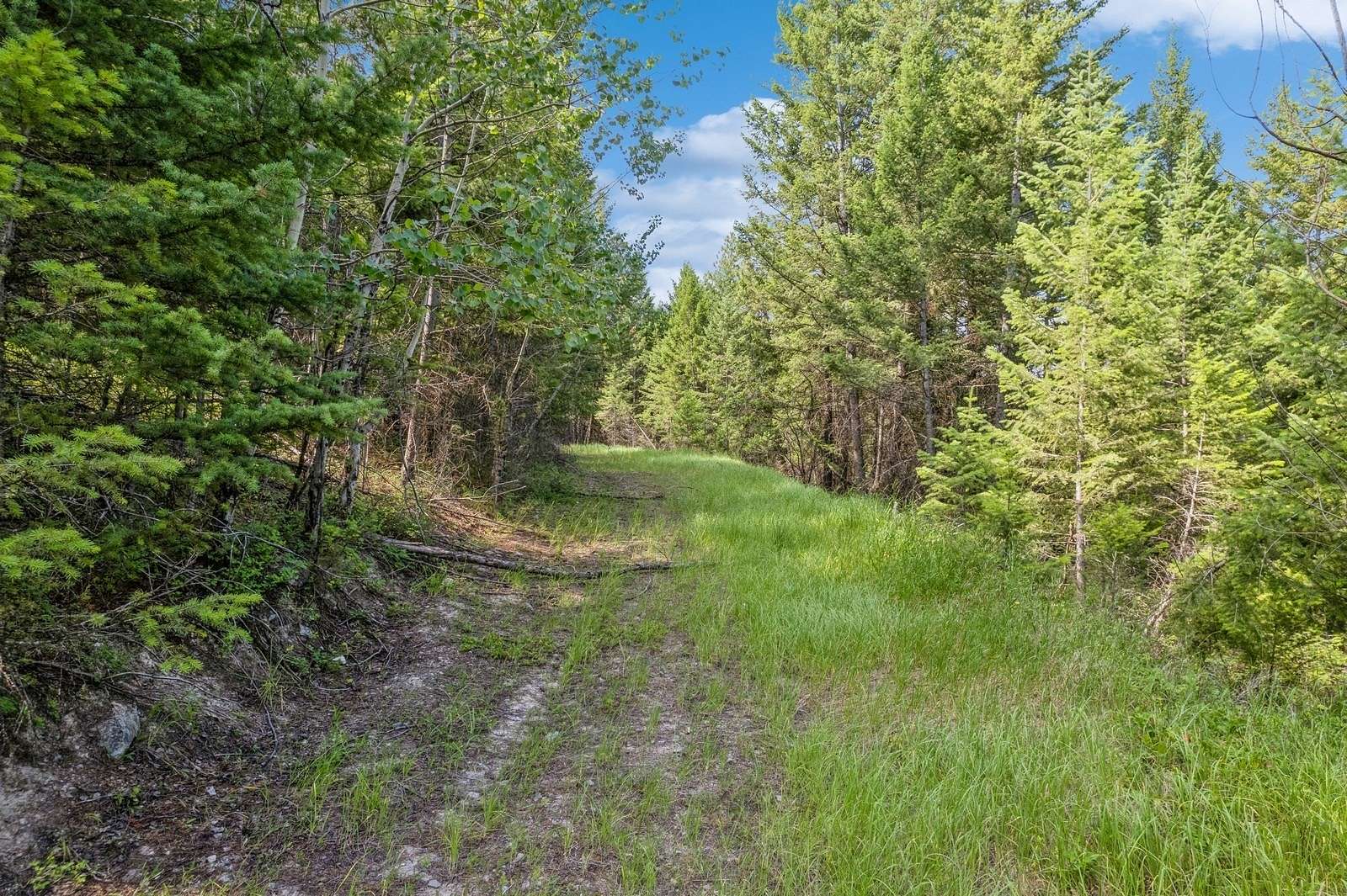 10.43 Acres of Land for Sale in Kalispell, Montana