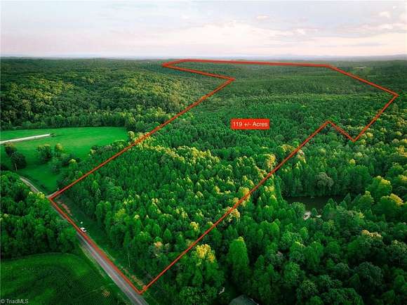 119.53 Acres of Land for Sale in Dobson, North Carolina