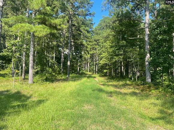 133 Acres of Recreational Land for Sale in Ward, South Carolina