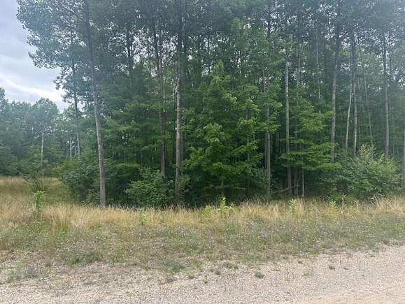 Residential Land for Sale in Roscommon, Michigan