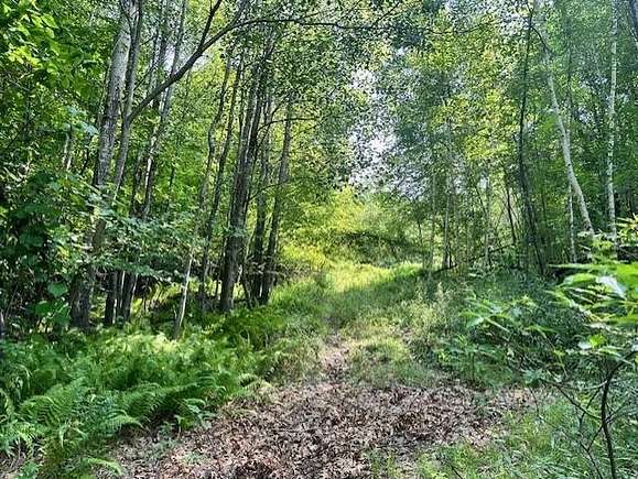 4.1 Acres of Residential Land for Sale in Franklin, New Hampshire