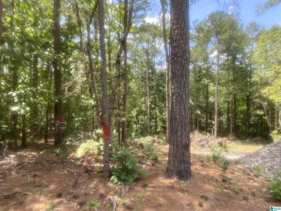 0.457 Acres of Residential Land for Sale in McCalla, Alabama