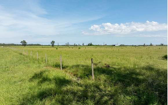 50 Acres of Agricultural Land for Sale in Live Oak, Florida