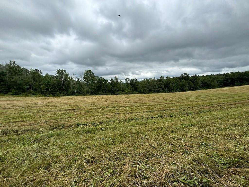 59.814 Acres of Recreational Land & Farm for Sale in Lindley, New York