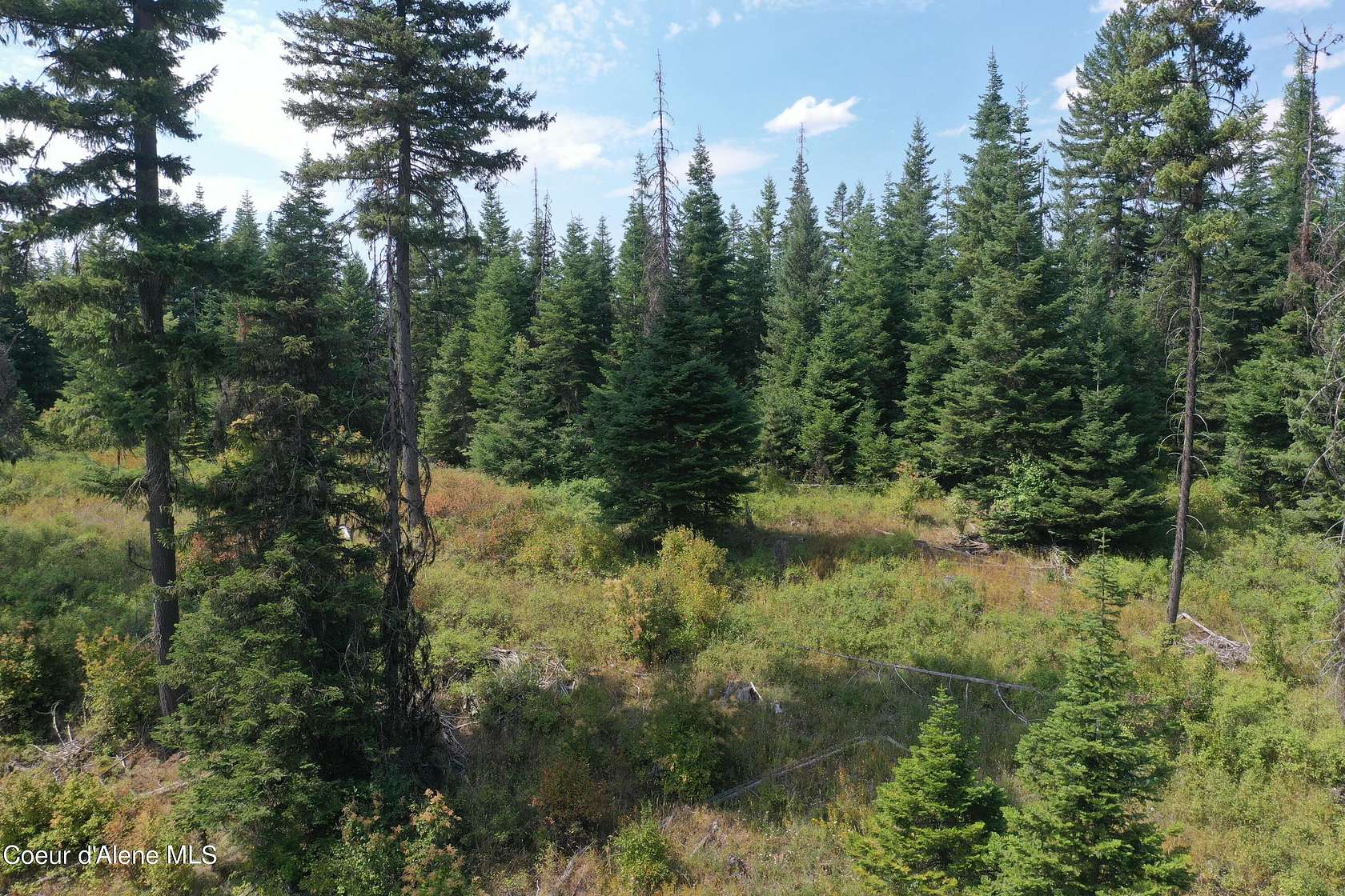 5 Acres of Residential Land for Sale in St. Maries, Idaho