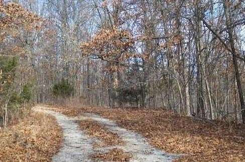 0.33 Acres of Residential Land for Sale in Bella Vista, Arkansas