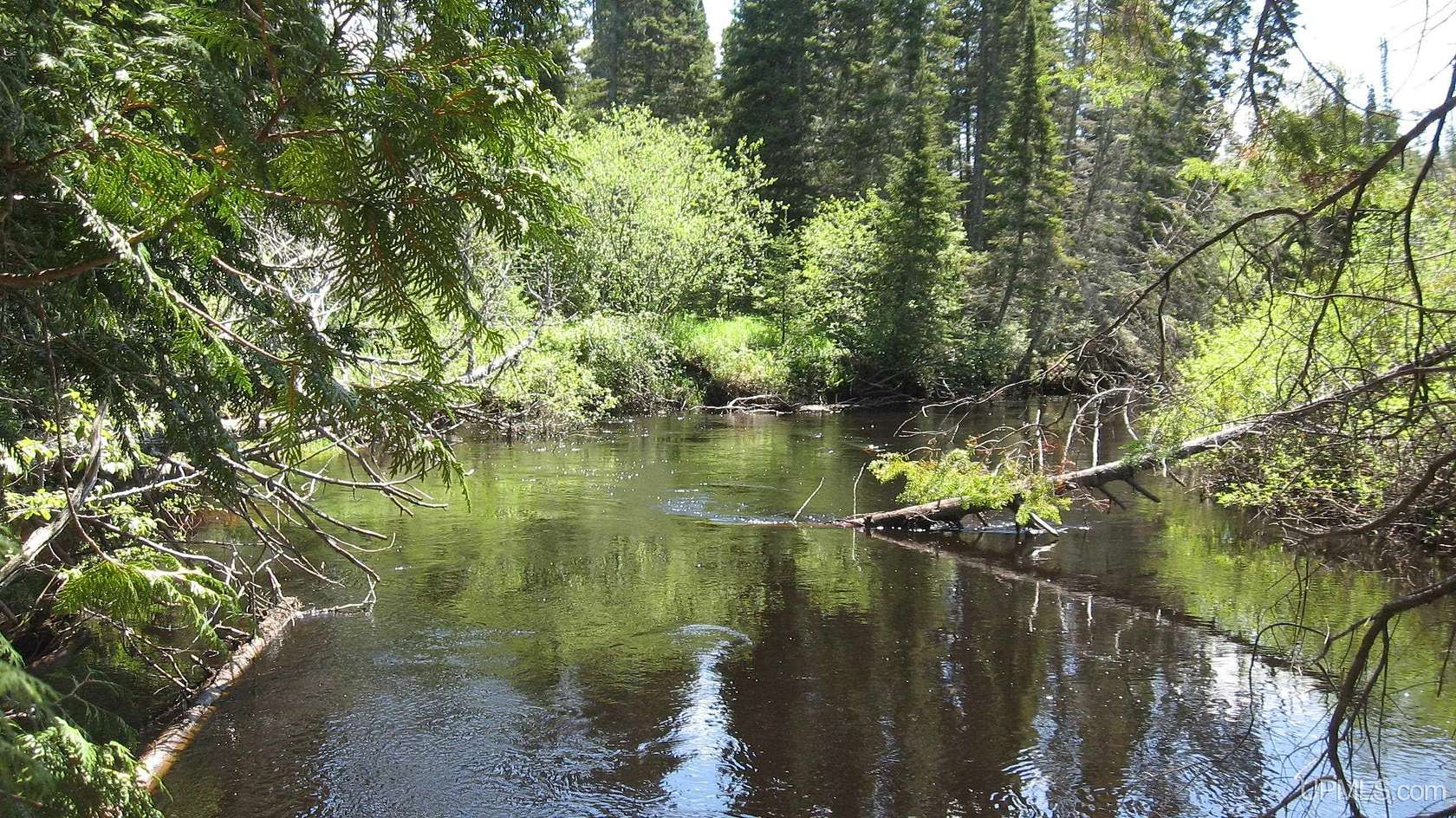 86 Acres of Recreational Land for Sale in Newberry, Michigan