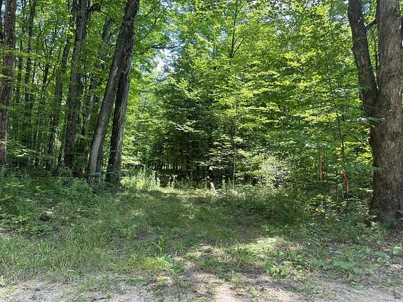 21.6 Acres of Land for Sale in Mooers, New York