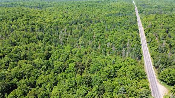 98 Acres of Recreational Land for Sale in Shingleton, Michigan