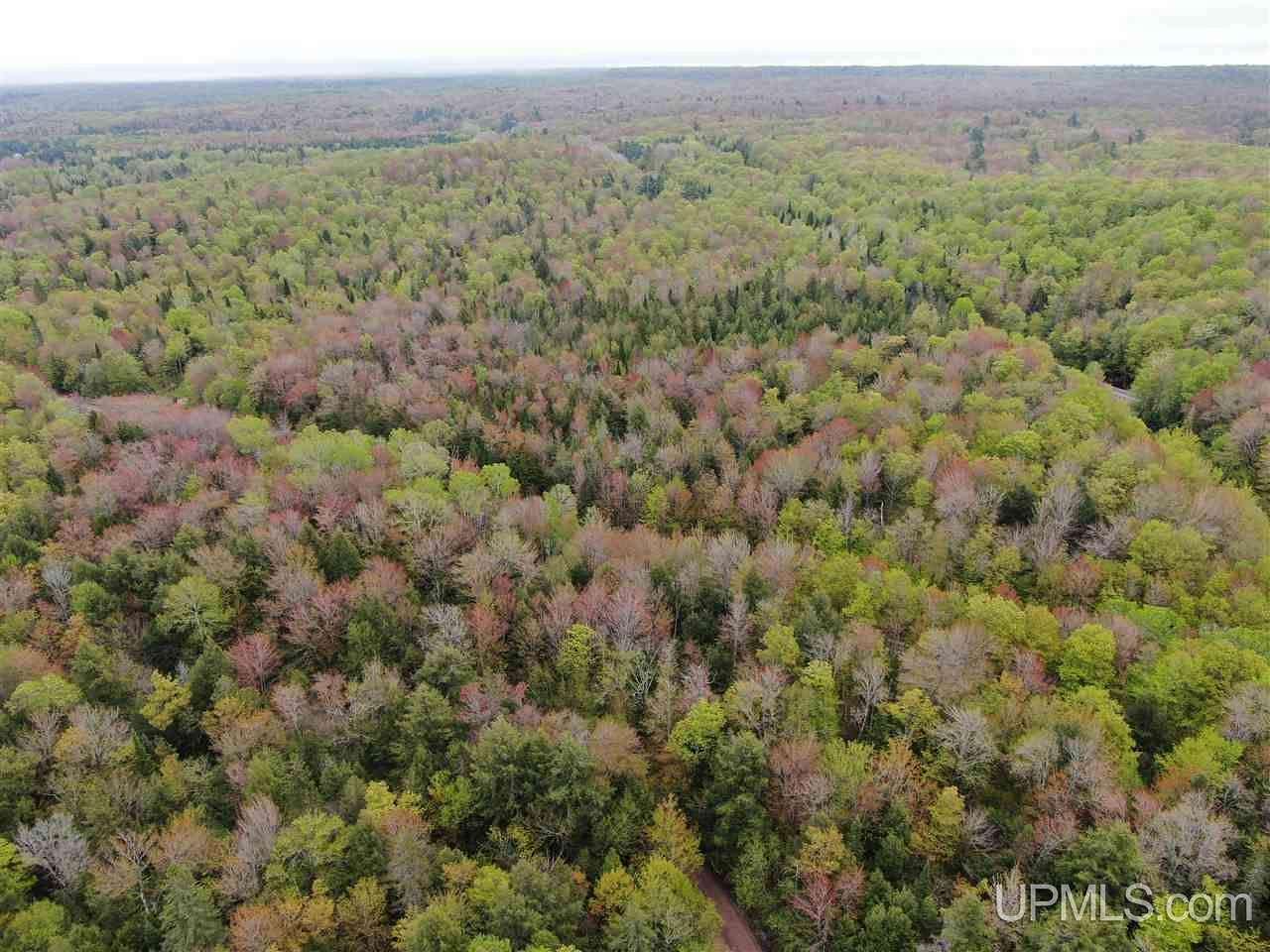 93 Acres of Recreational Land for Sale in Munising, Michigan