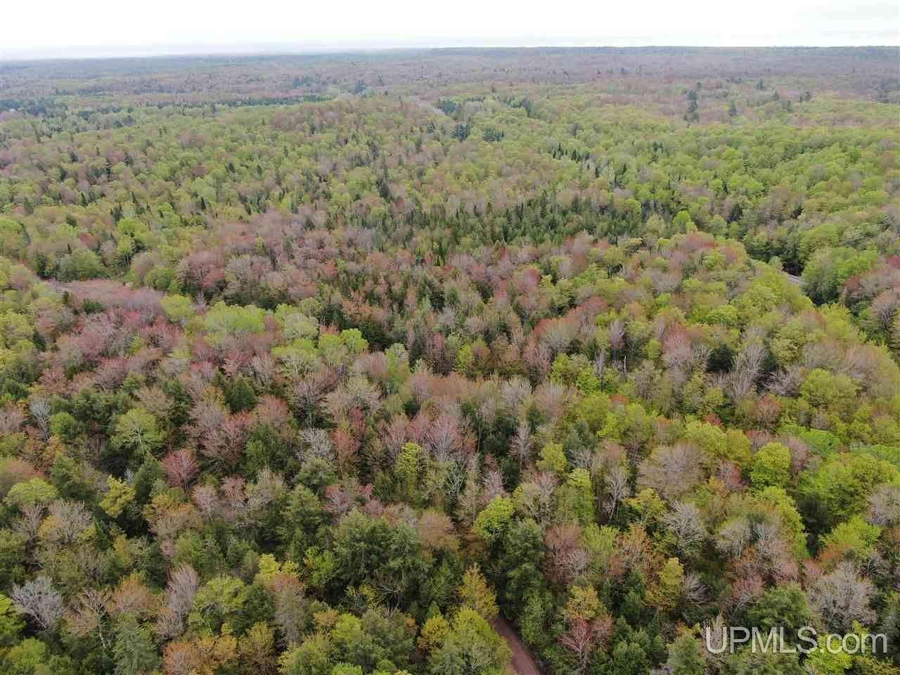 93 Acres of Recreational & Residential Land for Sale in Munising, Michigan