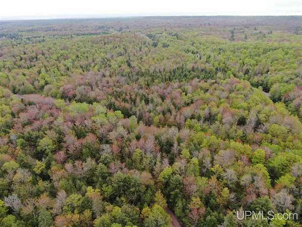 93 Acres of Recreational & Residential Land for Sale in Munising, Michigan