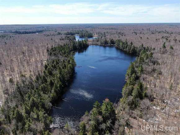 250 Acres of Recreational Land for Sale in Grand Marais, Michigan