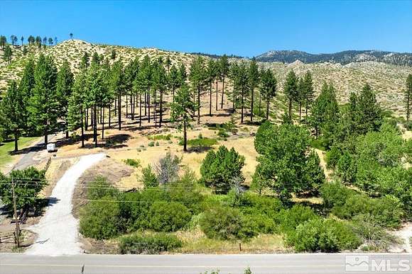 10.45 Acres of Recreational Land for Sale in Washoe Valley, Nevada