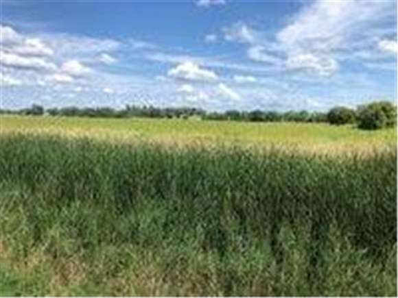 10 Acres of Land for Sale in Nowthen, Minnesota