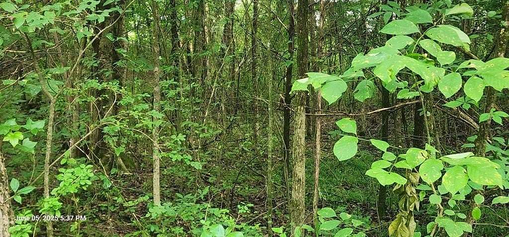0.33 Acres of Residential Land for Sale in Big Sandy, Tennessee
