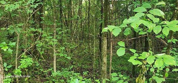 0.33 Acres of Land for Sale in Big Sandy, Tennessee