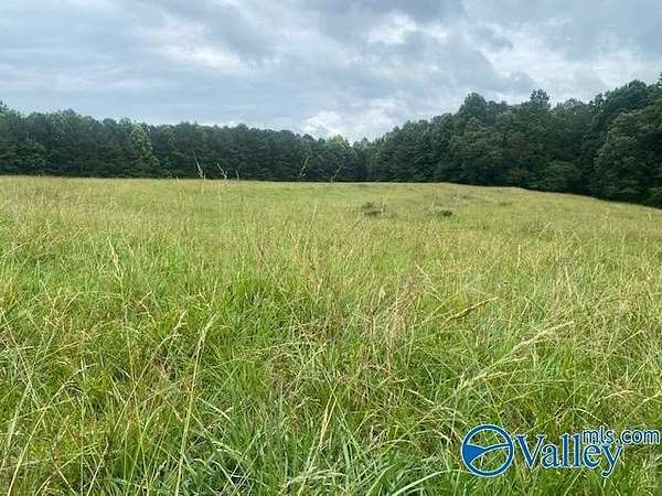 60 Acres of Recreational Land & Farm for Sale in Boaz, Alabama