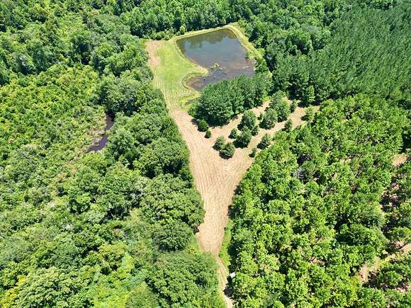 137 Acres of Land for Sale in Glenwood, Alabama