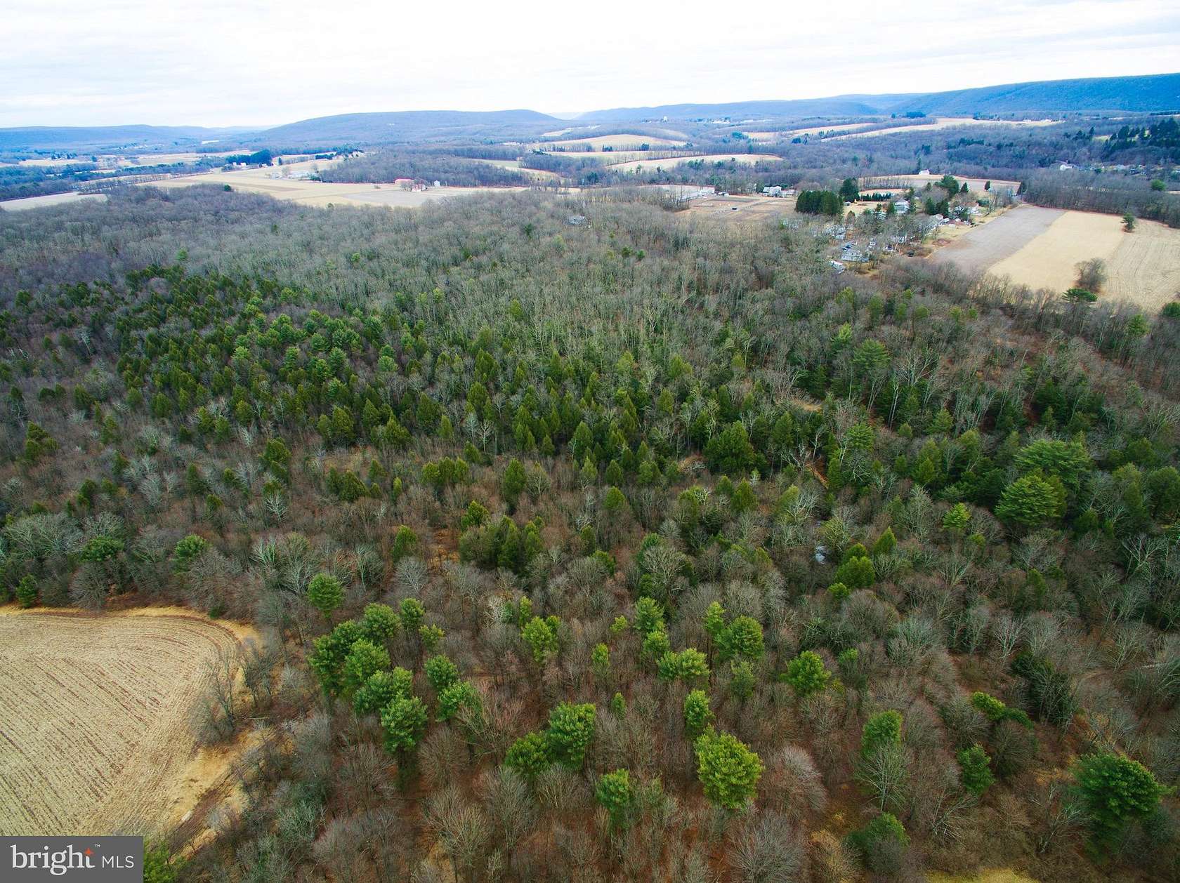 77.2 Acres of Land for Sale in Barnesville, Pennsylvania