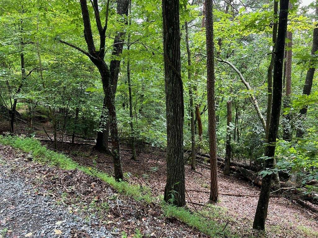 1.17 Acres of Residential Land for Sale in Ellijay, Georgia