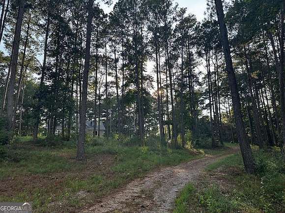 2.43 Acres of Residential Land with Home for Sale in Ila, Georgia