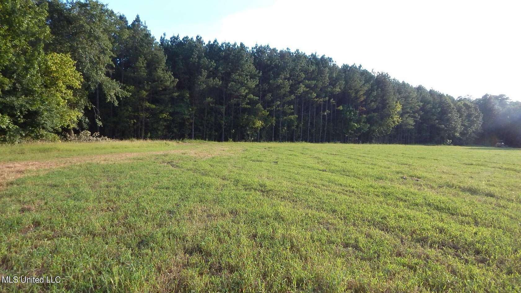 19.65 Acres of Land for Sale in Bruce, Mississippi