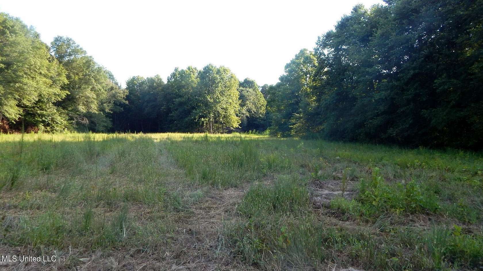 17.53 Acres of Land for Sale in Bruce, Mississippi