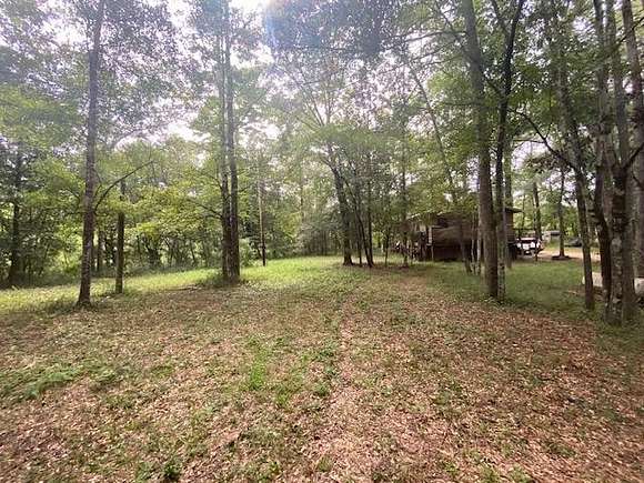 0.3 Acres of Land for Sale in Tylertown, Mississippi