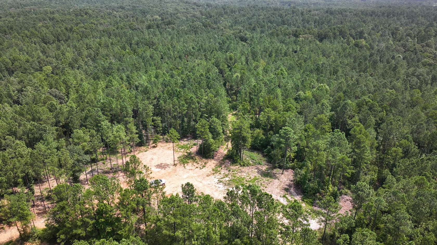 42 Acres of Recreational Land for Sale in Eupora, Mississippi