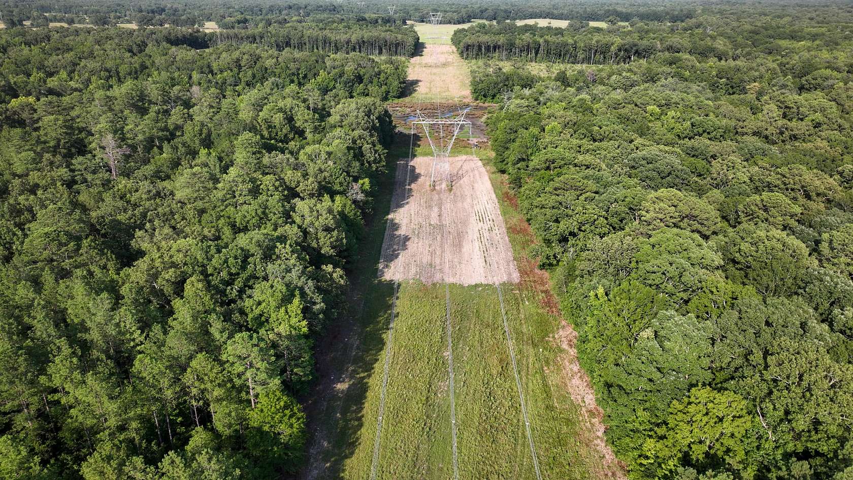 77.5 Acres of Recreational Land for Sale in West Point, Mississippi