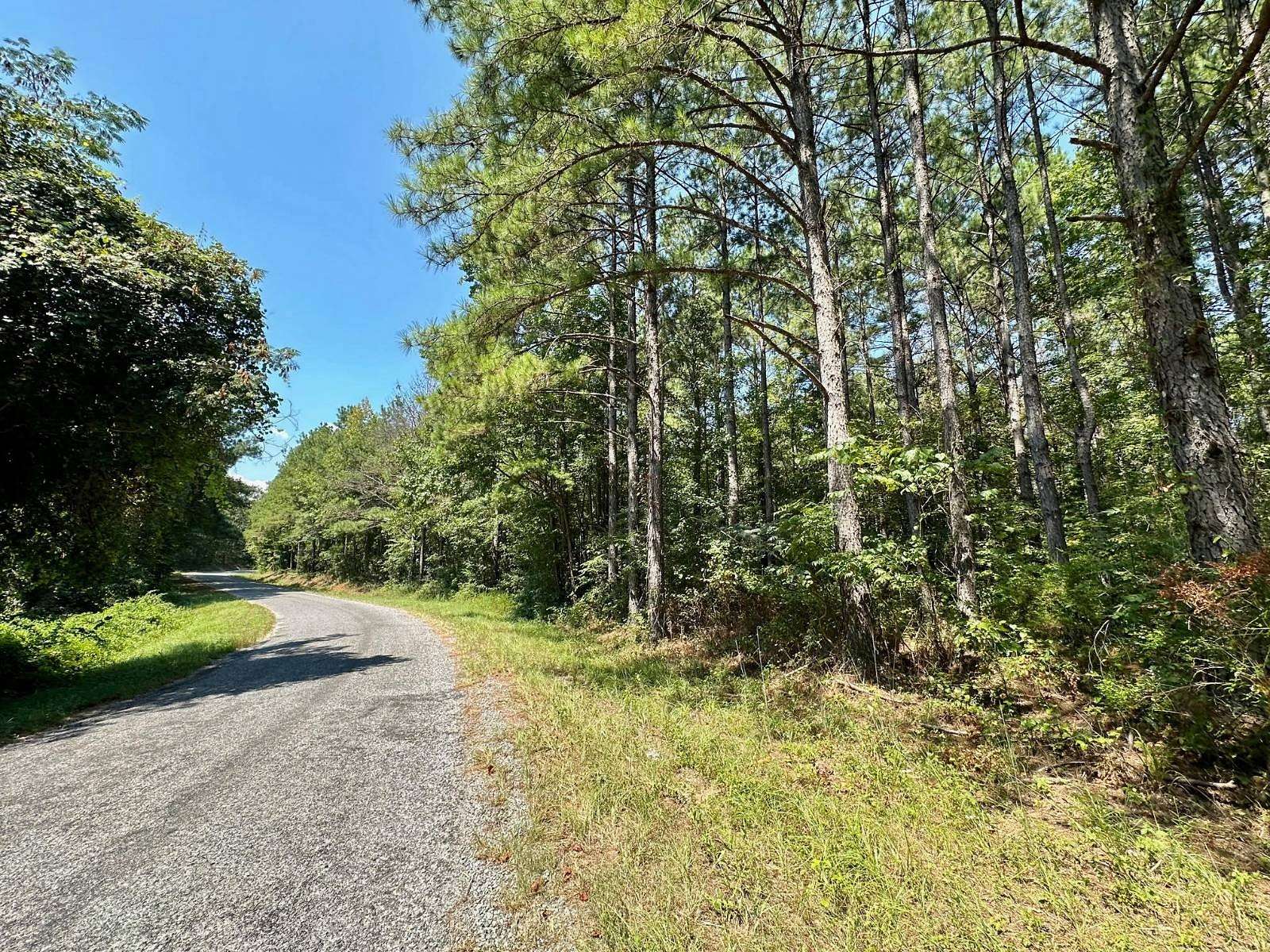 151 Acres of Recreational Land for Sale in Raleigh, Mississippi