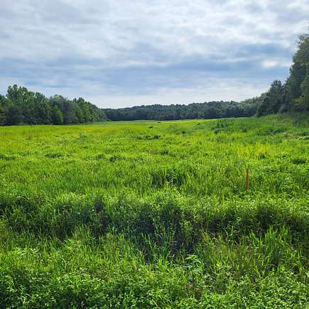 creek bottoms