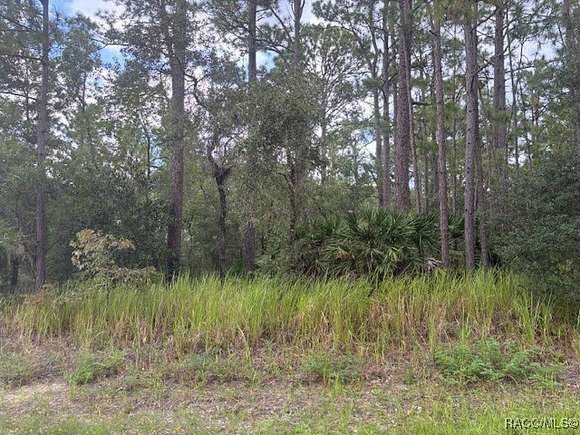 1.27 Acres of Residential Land for Sale in Beverly Hills, Florida