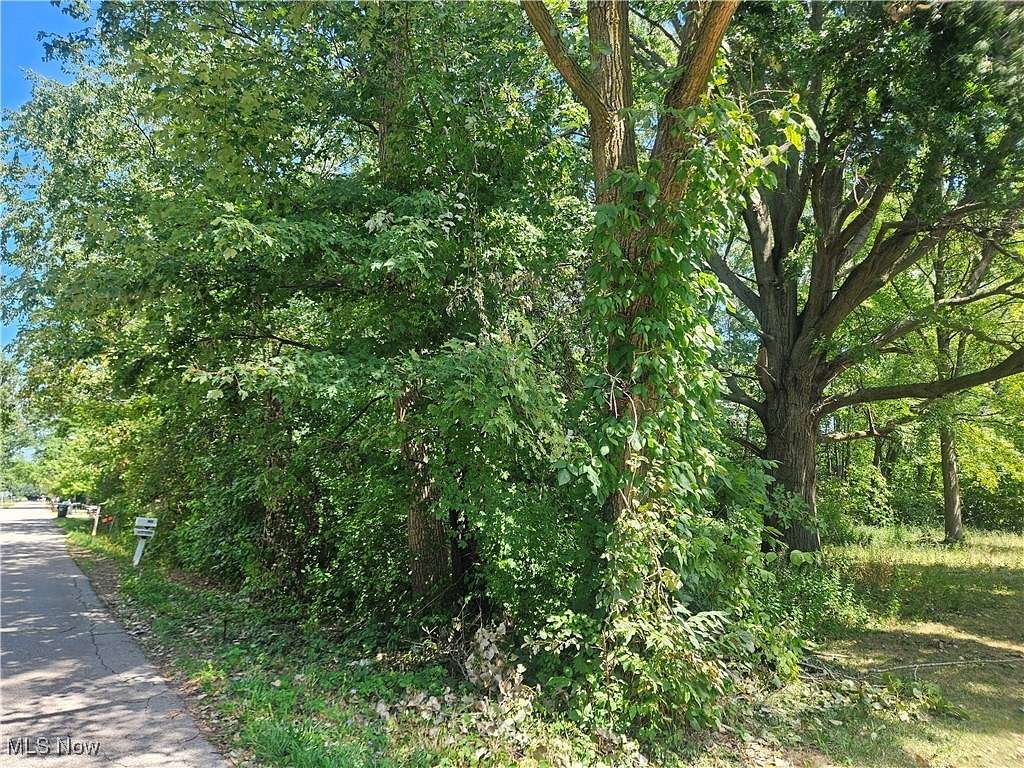 0.467 Acres of Residential Land for Sale in Lorain, Ohio