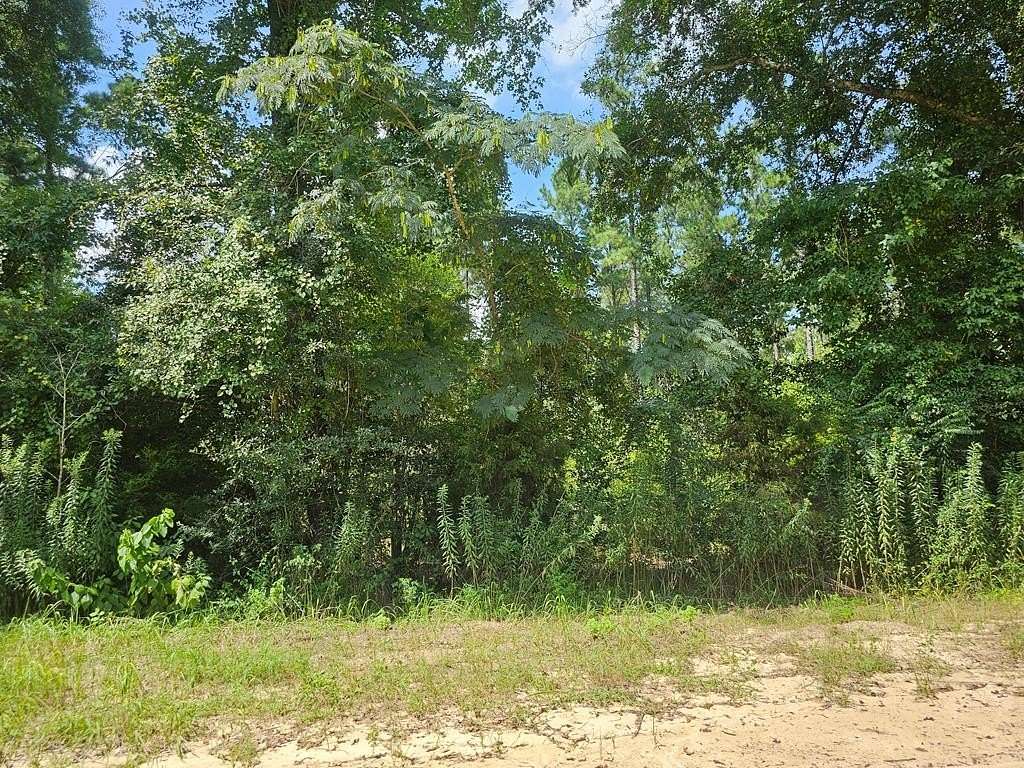 0.2 Acres of Residential Land for Sale in Hartford, Alabama
