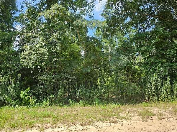 0.2 Acres of Residential Land for Sale in Hartford, Alabama
