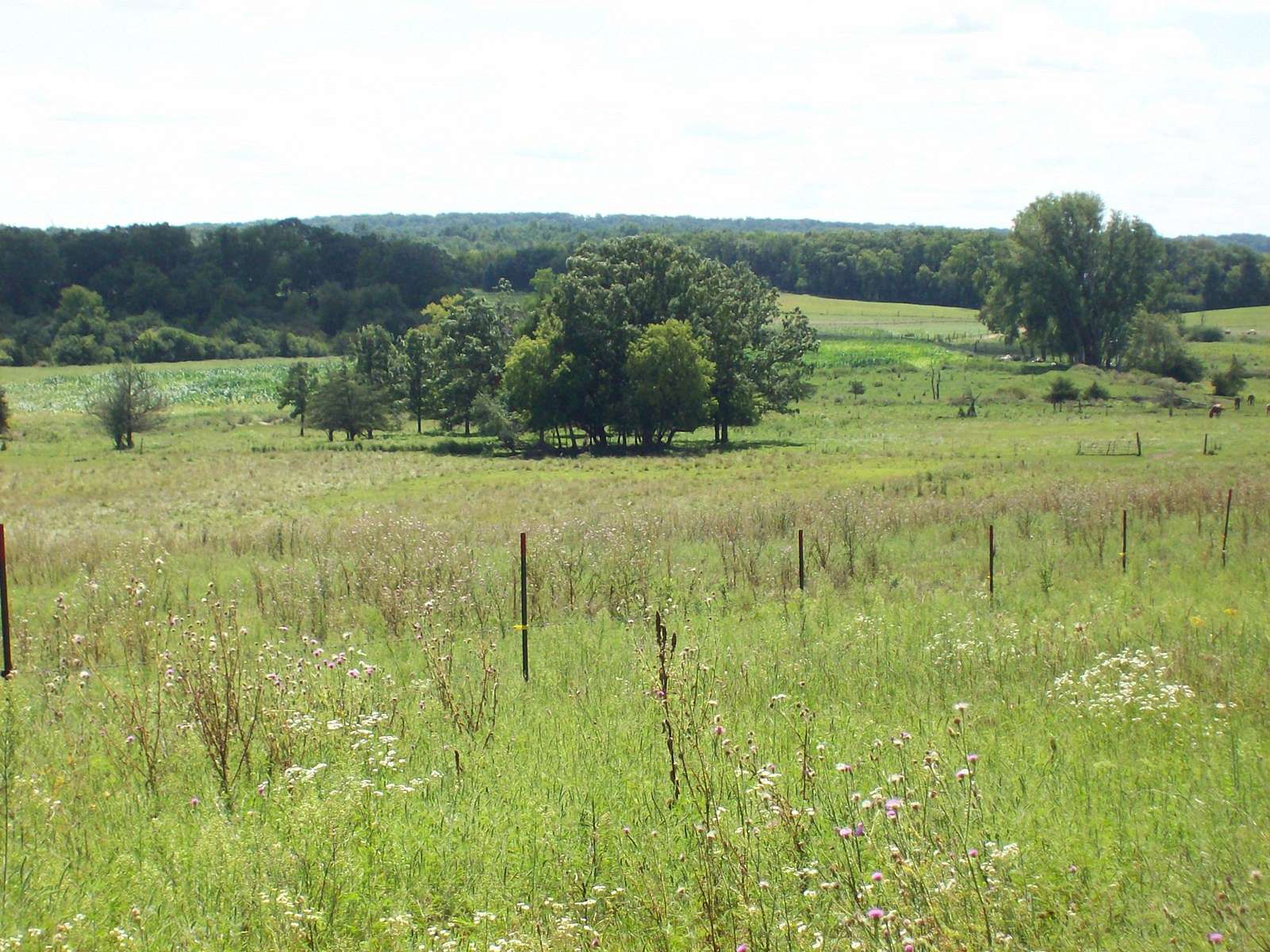 10 Acres of Land for Sale in Dalton, Wisconsin