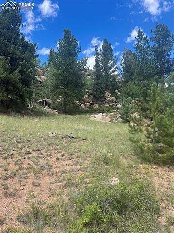 1.31 Acres of Land for Sale in Florissant, Colorado