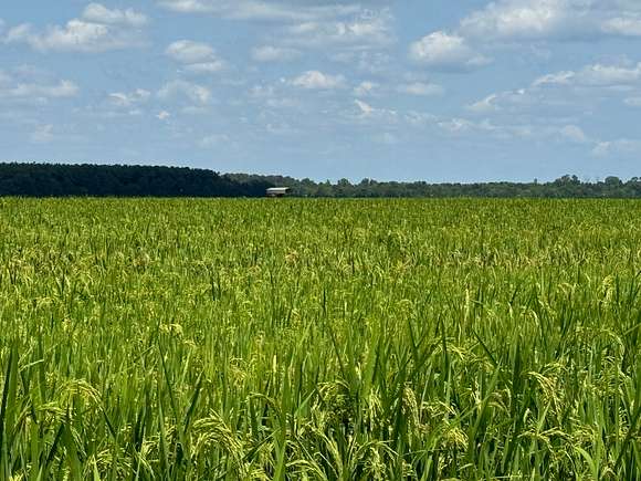 572.38 Acres of Agricultural Land for Sale in Tichnor, Arkansas