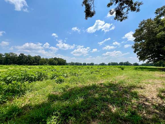 65 Acres of Agricultural Land for Sale in Wilmer, Alabama