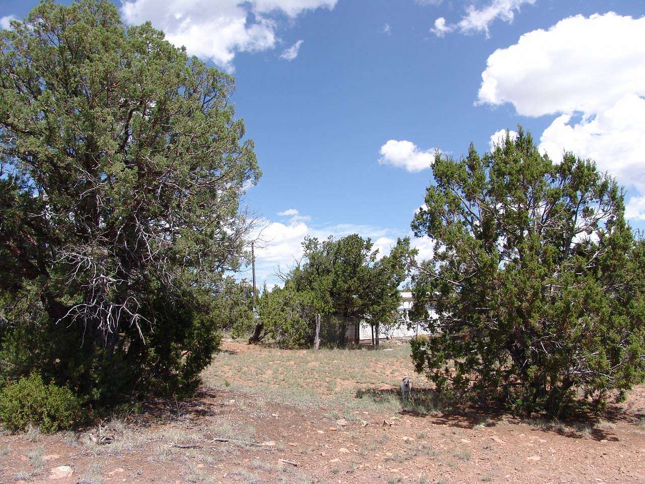 5 Acres of Residential Land for Sale in Datil, New Mexico