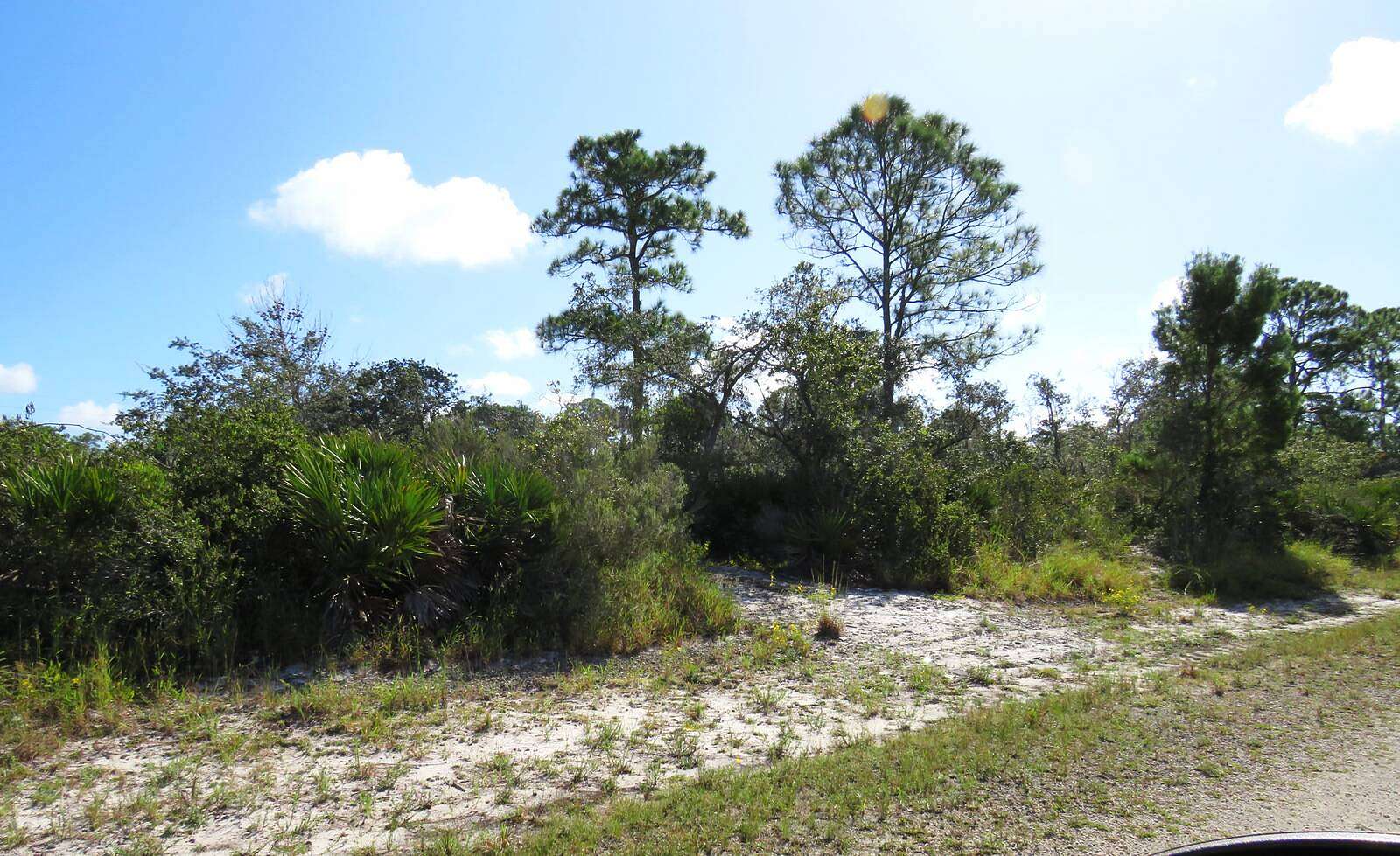 0.23 Acres of Residential Land for Sale in Lake Placid, Florida