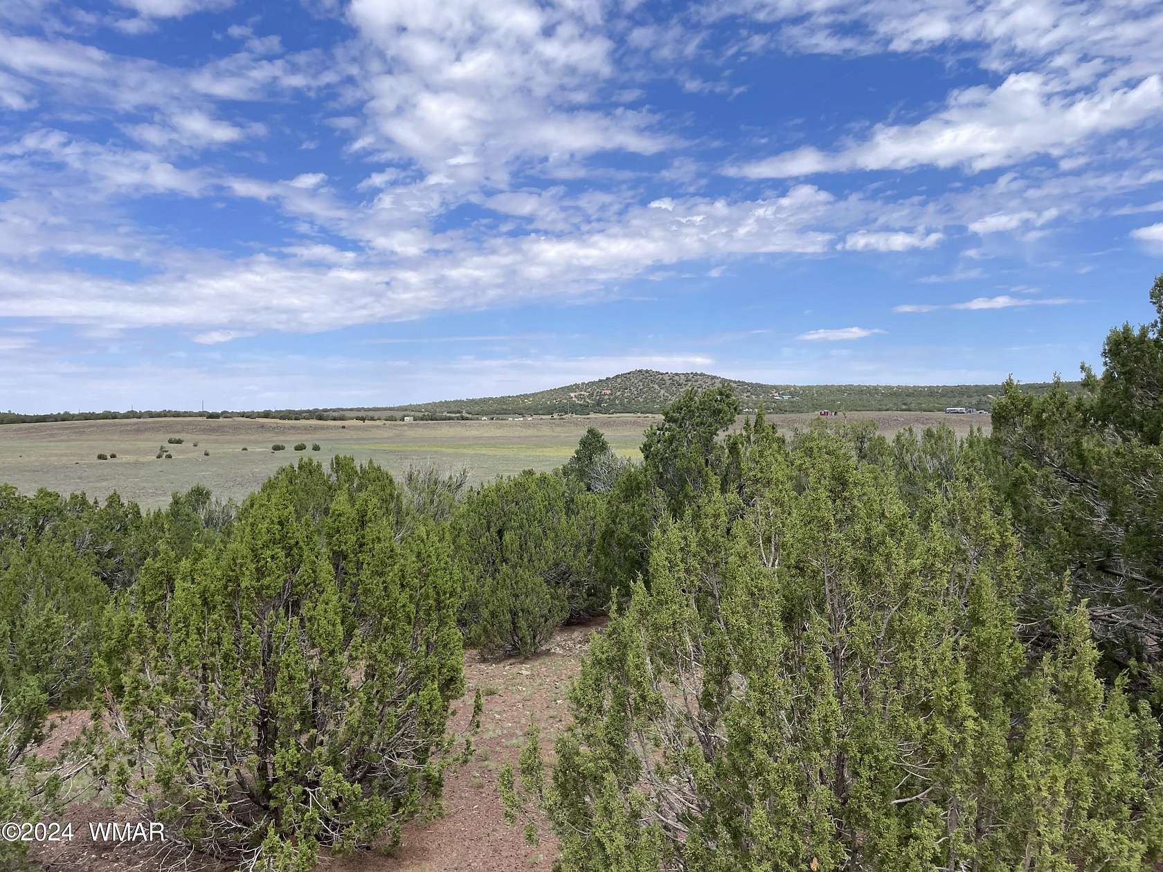 1.17 Acres of Land for Sale in Concho, Arizona