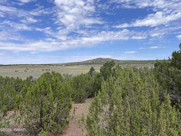 1.17 Acres of Land for Sale in Concho, Arizona