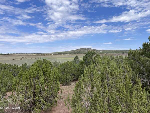 1.17 Acres of Land for Sale in Concho, Arizona