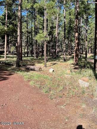 1.1 Acres of Residential Land for Sale in Greer, Arizona